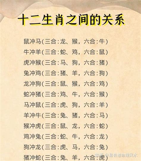 生肖相沖|十二生肖貴人；三合 (相生)、六合 (相合)、三會、相沖 (六沖)、相。